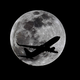 Ilustración para el artículo titulado El último eclipse lunar total (la luna de sangre), en imágenes